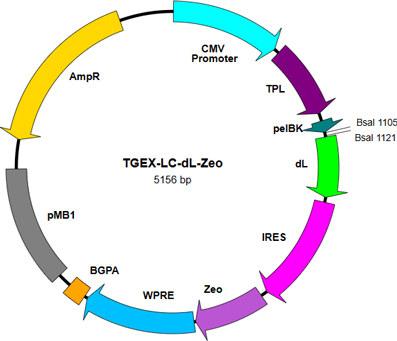 TGEX-LC-dL-Zeo map